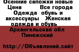 Осенние сапожки новые › Цена ­ 600 - Все города Одежда, обувь и аксессуары » Женская одежда и обувь   . Архангельская обл.,Пинежский 